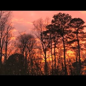 Meet your Posher, Judith